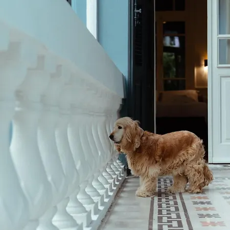 Clio, A Luxury Collection