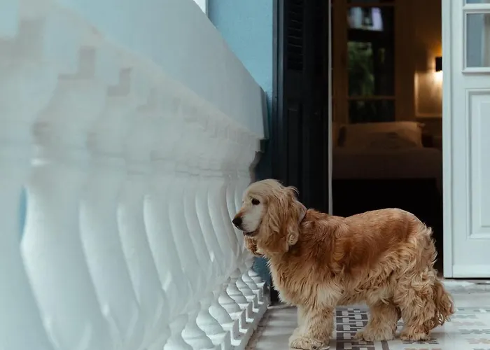 Clio, A Luxury Collection